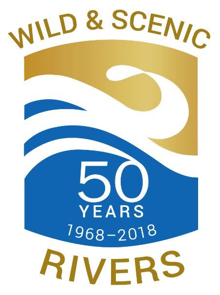 wsr50 logo.JPG